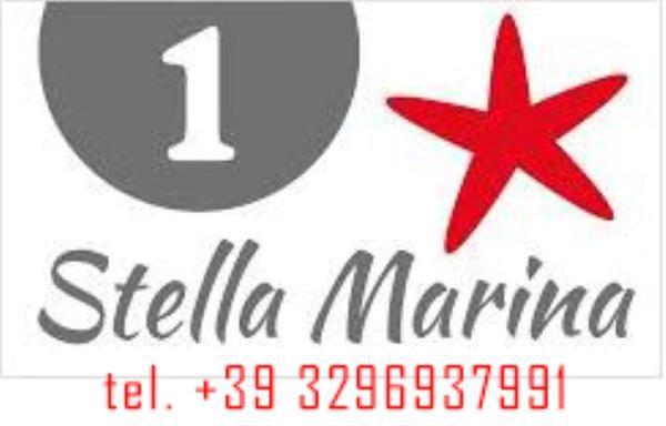 Mar&Sol Hotel Termoli Bagian luar foto